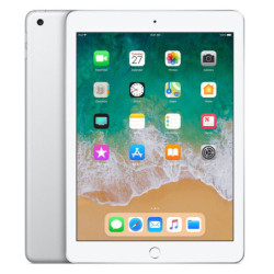 iPad (6th Gen) Wi-Fi + Cellular